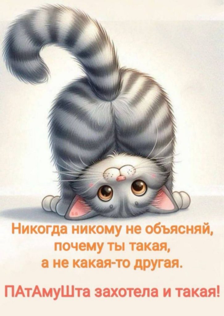 Анекдоты на ночь